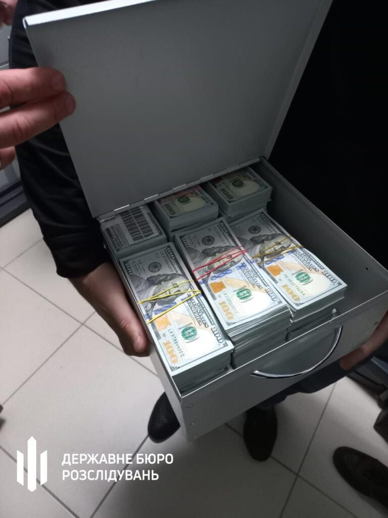 На Хмельнитчине разоблачили главу МСЭК и ее сына: весь дом был в деньгах
