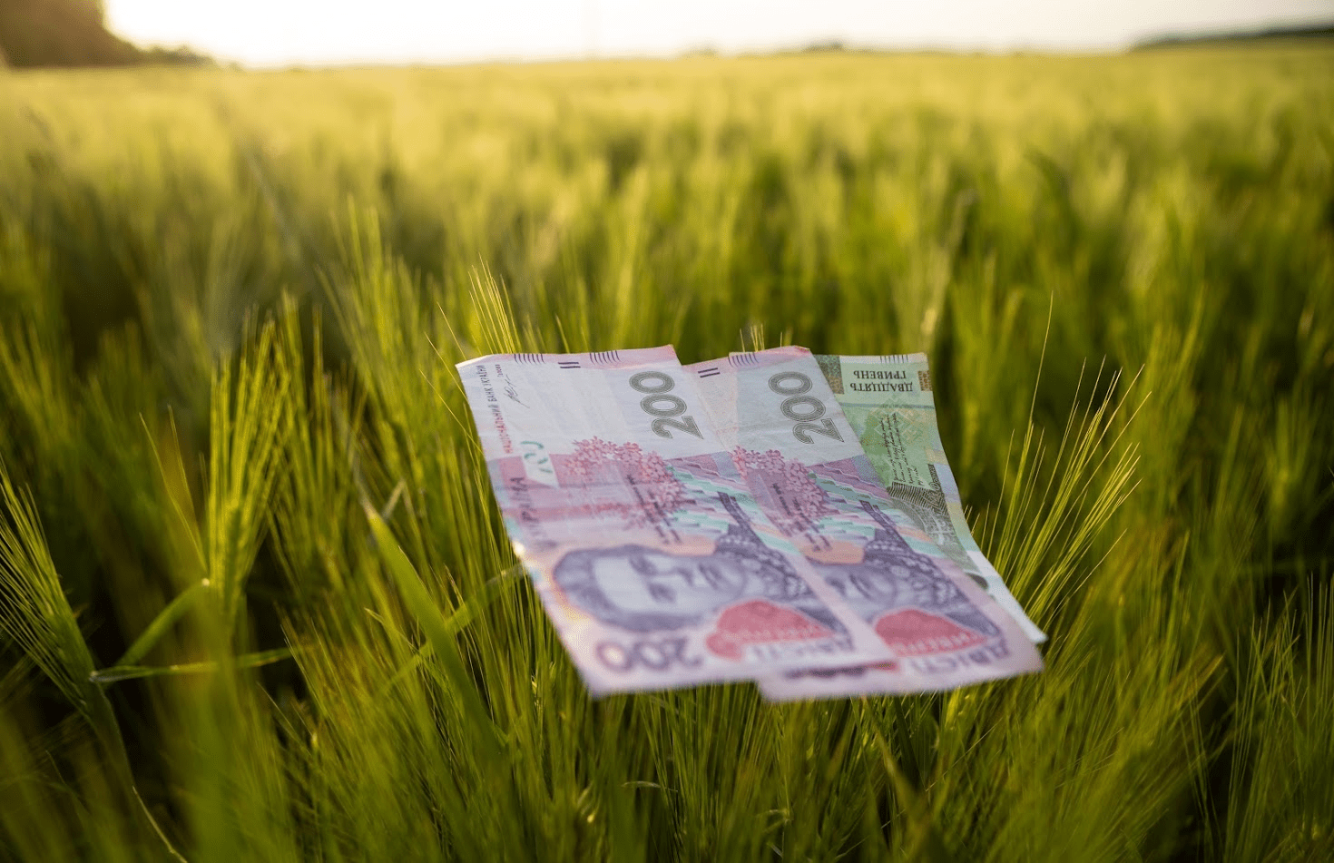 У трьох сферах спостерігається різке зростання зарплати ➤ Prozoro.net.ua