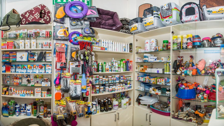 Ці речі кінологи не радять купувати в зоомагазині