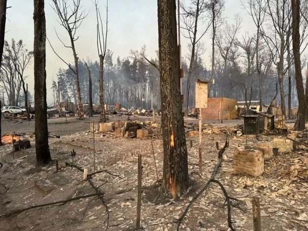 На Харьковщине сгорело целое село: погибли люди, уничтожены более 1000 домов (фото) 4 На Харьковщине сгорело целое село: погибли люди, уничтожены более 1000 домов (фото)
