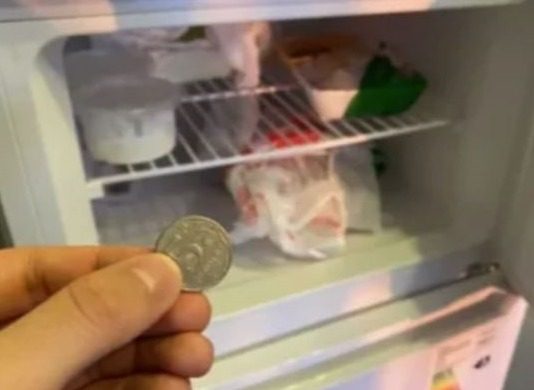 Навіщо ставити монетку у морозилку: визначає свіжість продуктів