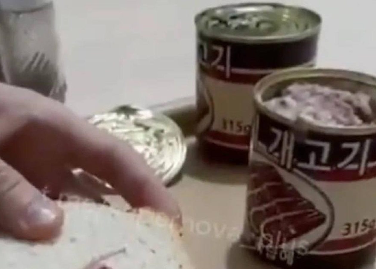 Российским военным поставили консервы из собачьего мяса из КНДР (видео)