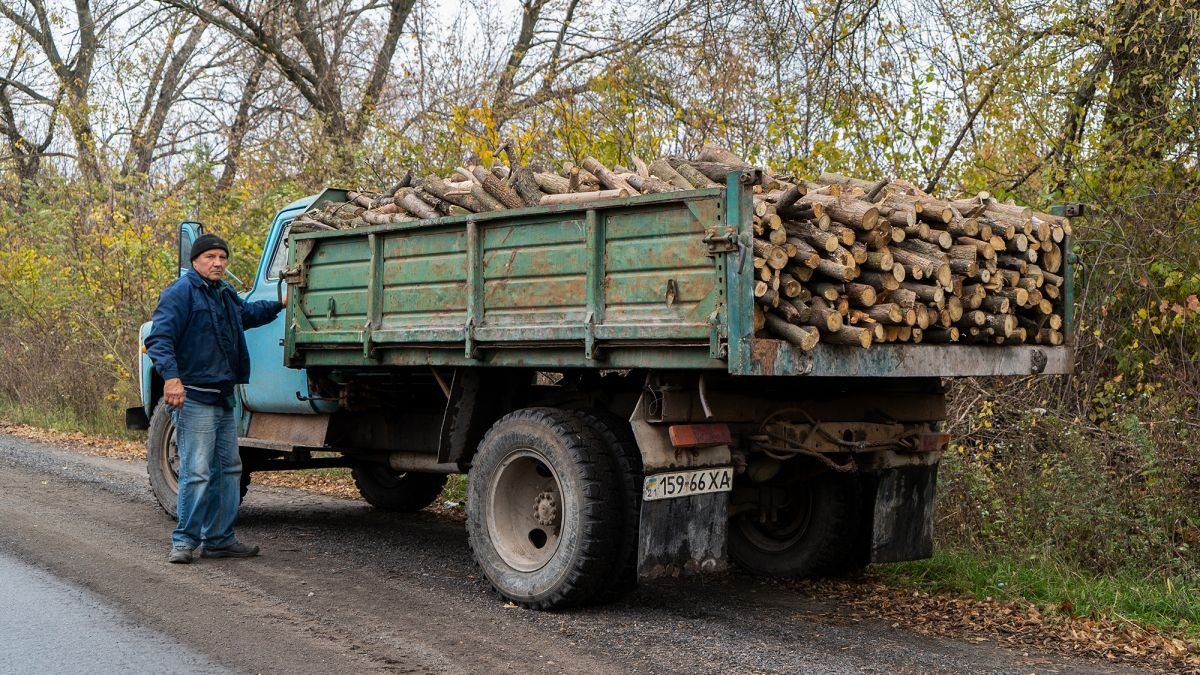 У Зеленського відреагували на скандальний “закон про дрова”