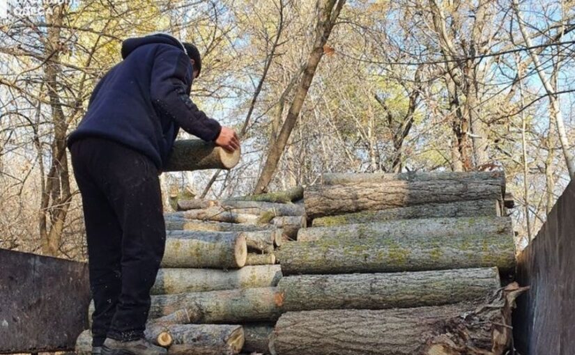 Дрова хранить нельзя: украинцам грозят крупные штрафы и даже срок ➤ Prozoro.net.ua