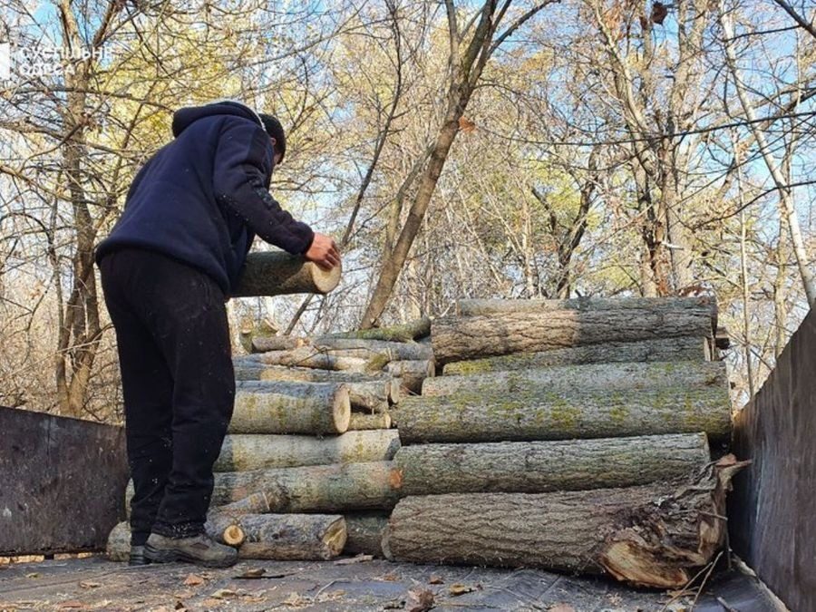 Дрова хранить нельзя: украинцам грозят крупные штрафы и даже срок ➤ Prozoro.net.ua