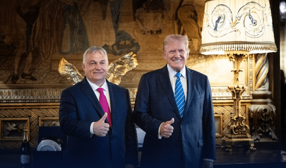 “Віроломний тхір”: як перемога Трампа на виборах вплинула на проросійські сили в Європі