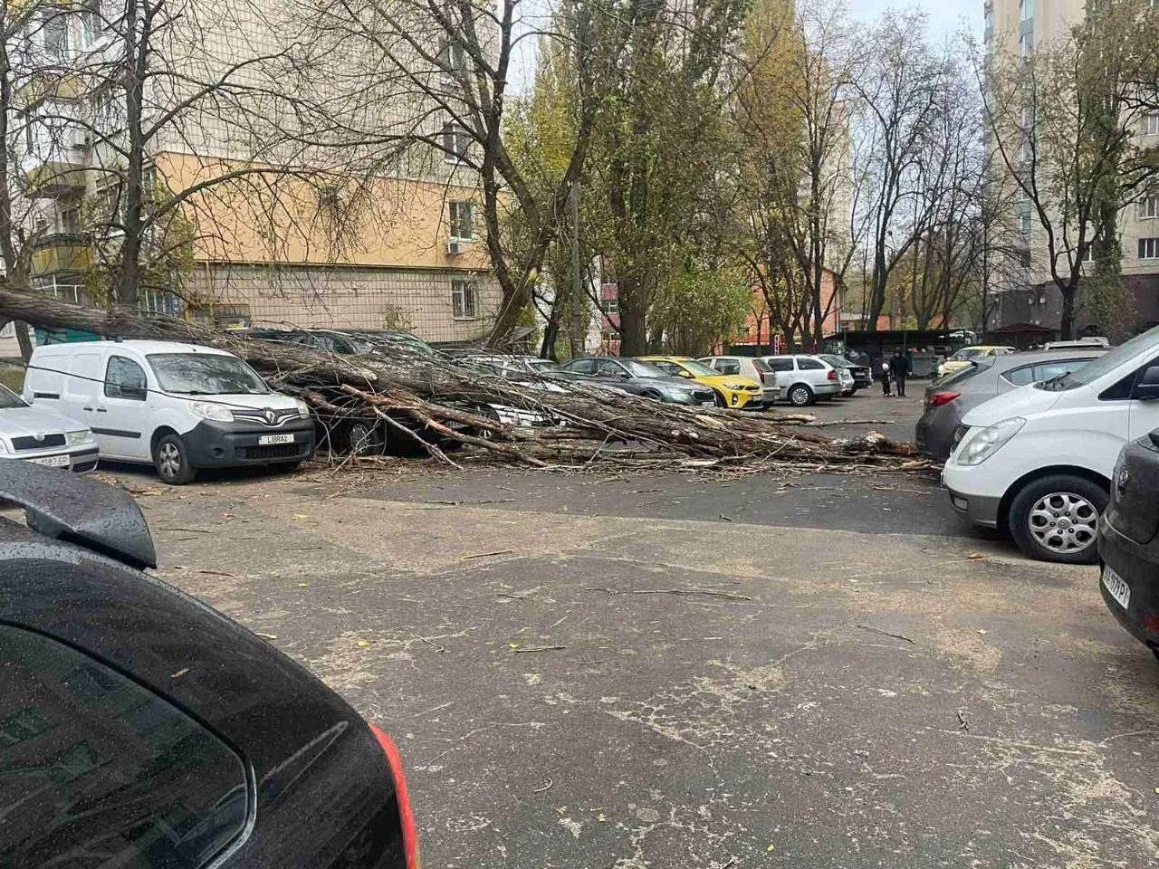 В Украине непогода: падают деревья, сносит остановки и крыши