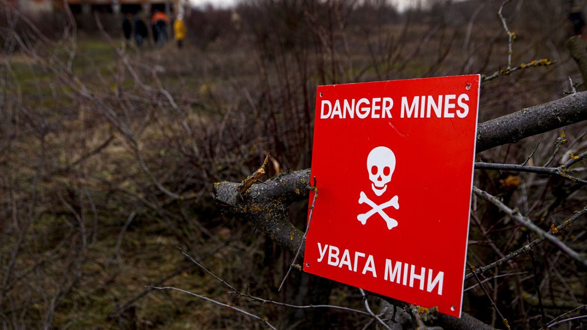 В Amnesty International призвали Байдена не передавать Украине противопехотные мины