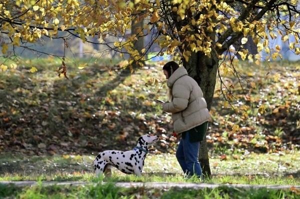 Погода в жовтні: синоптики розповіли, коли чекати заморозків 3 Погода в жовтні: синоптики розповіли, коли чекати заморозків