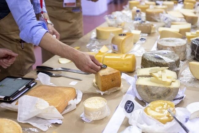 Восемь украинских сыров попали в список лучших в мире