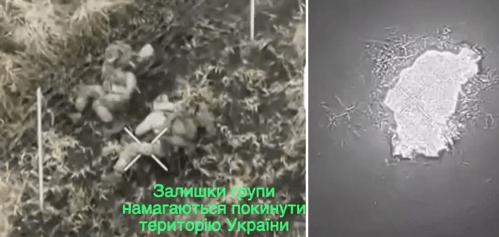 Пропаганда РФ придумала "прорыв" на Сумщине: на самом деле бойцы ССО уничтожили ДРГ (фото)
