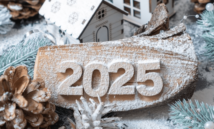 Новий 2025 рік: яка тварина буде його символом, яке вона значення має та на кого впливатиме ➤ Prozoro.net.ua