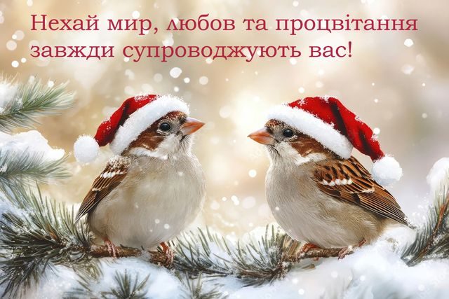 З Новим роком 2025: найкращі привітання у віршах, прозі та картинках 13 З Новим роком 2025: найкращі привітання у віршах, прозі та картинках