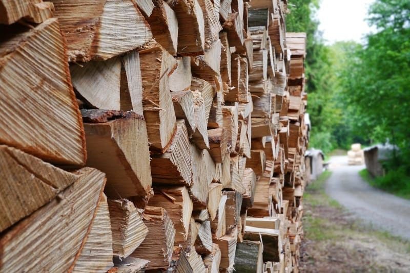 Не стоит их покупать: эти дрова почти не горят и только засоряют печку