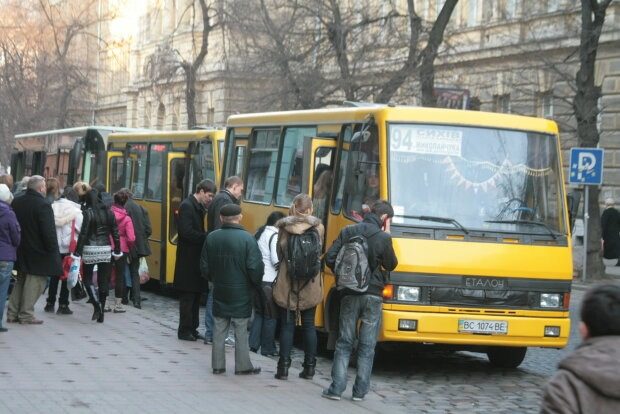 Бесплатный проезд в маршрутках: кому не придется платить в 2025-м