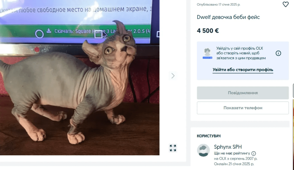 Двельф