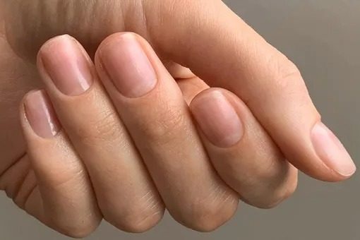 Как ногти показывают, сколько вы проживете: ответ генетика ➤ Prozoro.net.ua