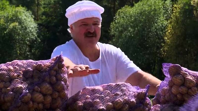 Лукашенко приголомшив заявою після переговорів РФ та США 3 Лукашенко приголомшив заявою після переговорів РФ та США