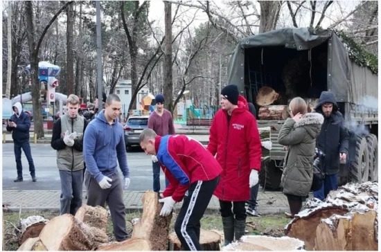 У Криму росіяни вирубують парки на дрова для бліндажів ЗС РФ