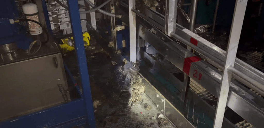 Російський дрон завдав удару по ЧАЕС: Зеленський опублікував відео пожежі