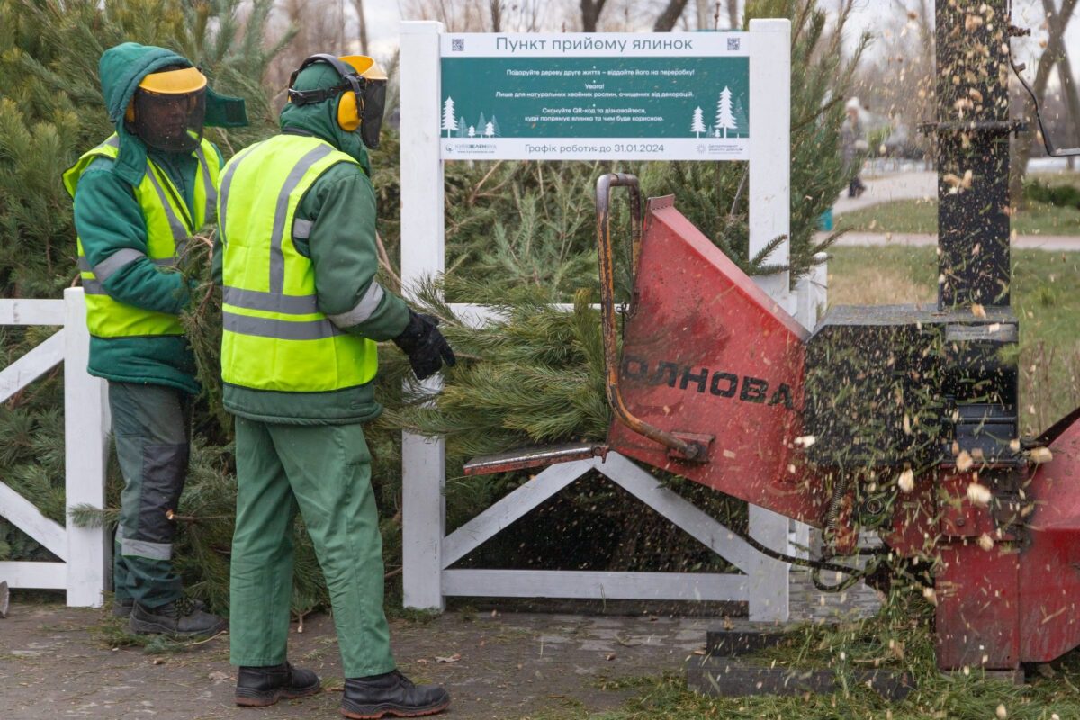 Безкоштовні дрова – чи можна забирати гілки з вулиці