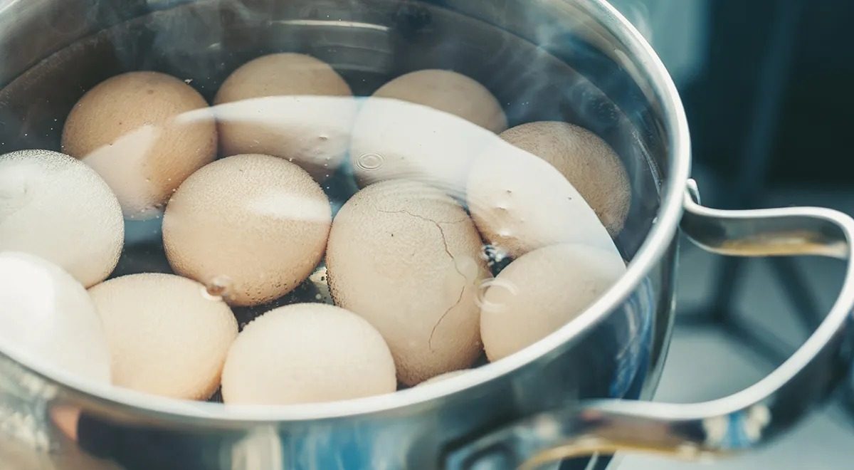 Большинство делает ошибку: почему яйца нужно варить 32 минуты
