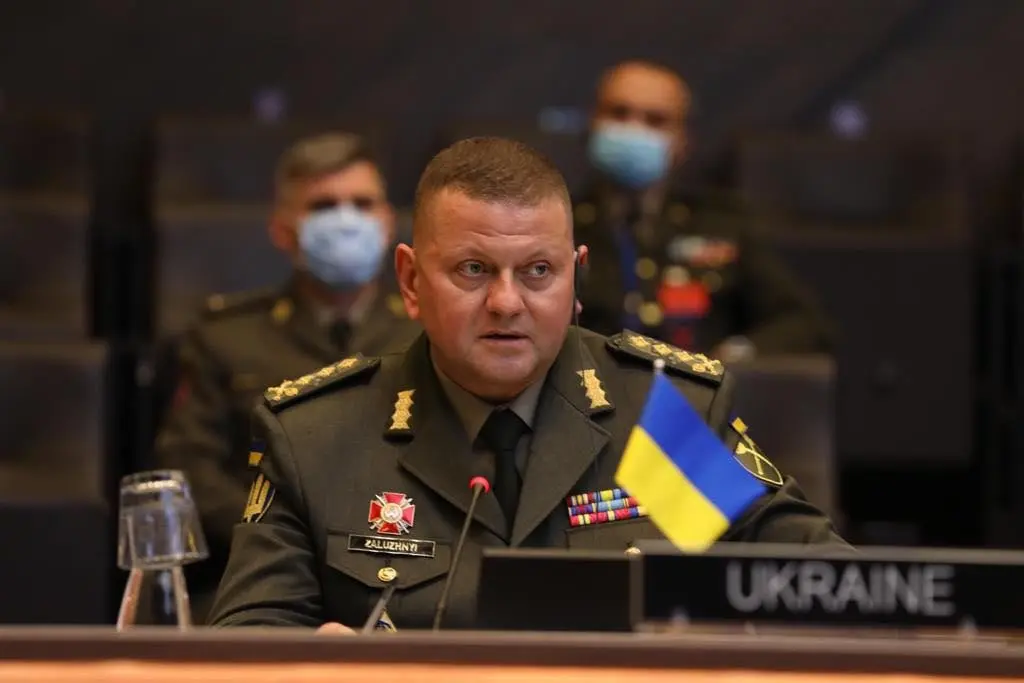 Победа Украины в войне зависит от четырех факторов – Залужный