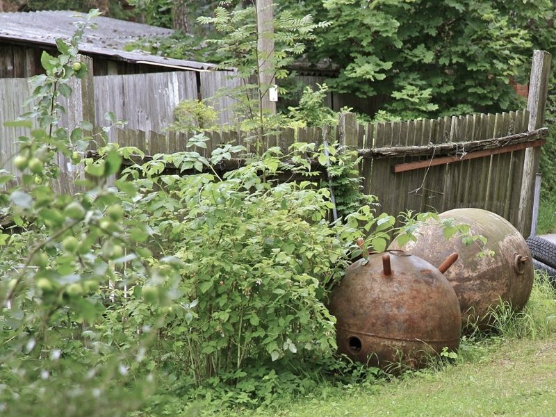Сільська ідилія: 20 фото, що занурять у колорит глибинки 16 Сільська ідилія: 20 фото, що занурять у колорит глибинки