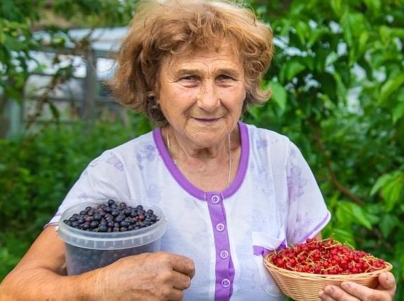 Ягоди для міцних судин: працюють краще за таблетки ➤ Prozoro.net.ua