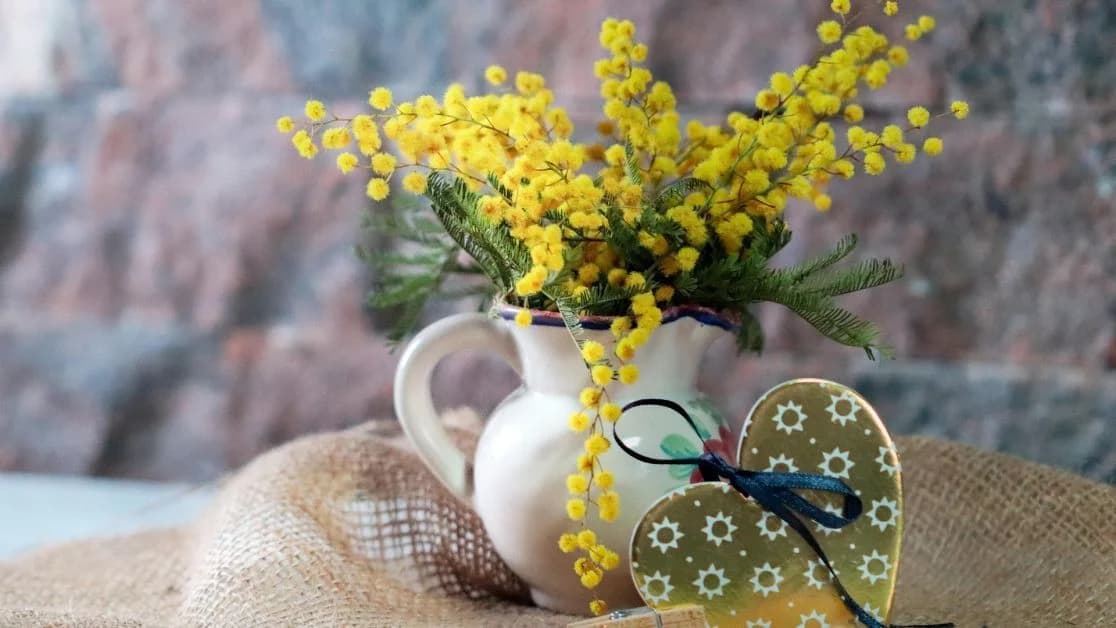 Ніколи не купуйте ці квіти на свято: можуть коштувати здоров’я