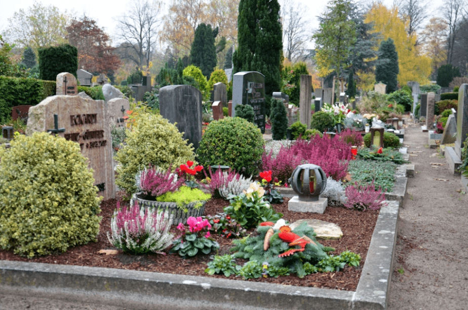 Що посадити на могилі, а що краще уникати: поради щодо квітів для цвинтаря ➤ Prozoro.net.ua