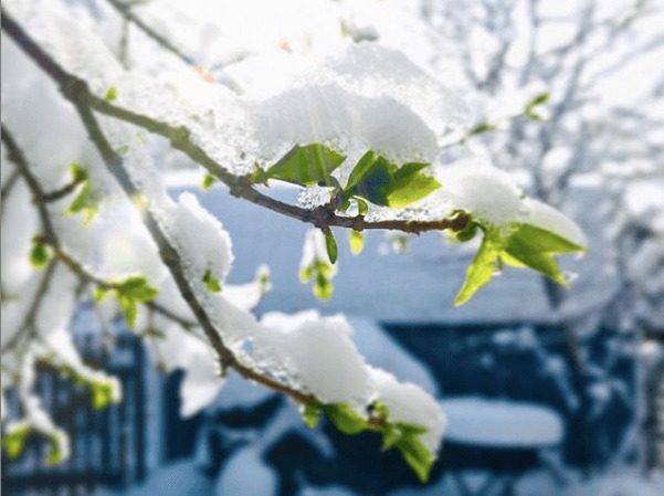 Влупит мороз и будет сыпать снег: где в Украине резко похолодает ➤ Prozoro.net.ua