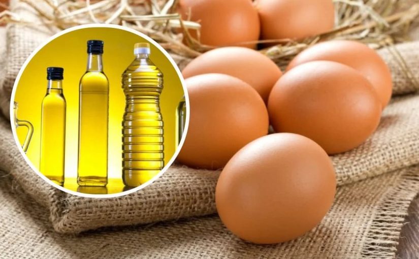 Як в СРСР одна крапля олії допомагала зберігати яйця: чому це було небезпечно ➤ Prozoro.net.ua
