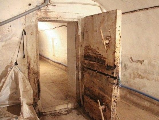 Її замкнули на 20 років у підвалі: відкривши двері, люди посивіли ➤ Prozoro.net.ua