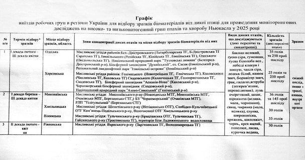 Птицы под прицелом: в Одессе обсуждают отстрел лебедей и бакланов