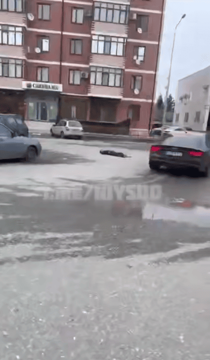 У Чечні кадировці публічно стратили 17-річного юнака, який напав на силовиків (фото) 5 У Чечні кадировці публічно стратили 17-річного юнака, який напав на силовиків (фото)