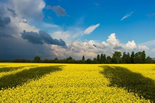 Україна – найгарячіша в Європі: розкрито температурний сюрприз