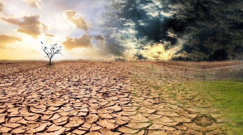 Європу охоплює посуха: як це вплине на врожай в Україні ➤ Prozoro.net.ua
