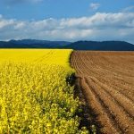Цены на украинскую землю стремительно растут: где дороже всего ➤ Prozoro.net.ua