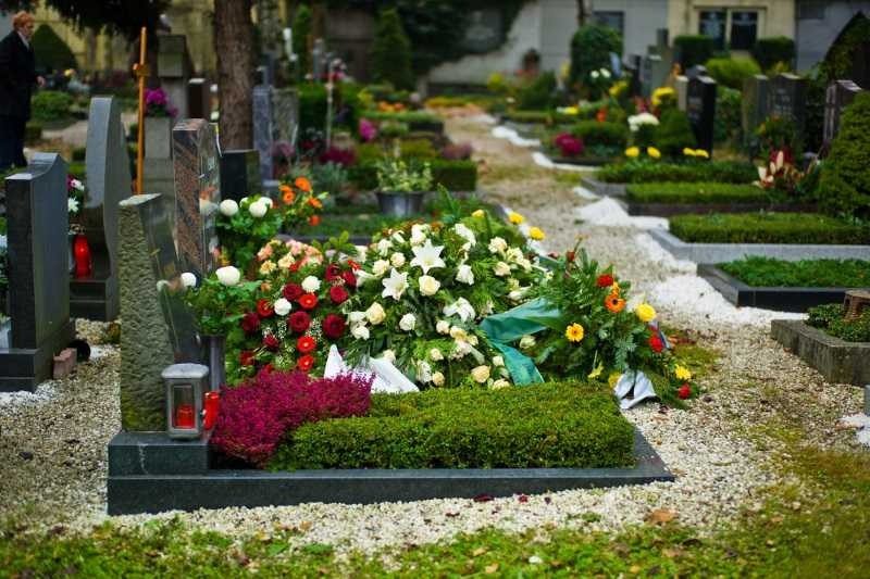 Посадіть ці квіти на могилі: бур’янів більше не побачите