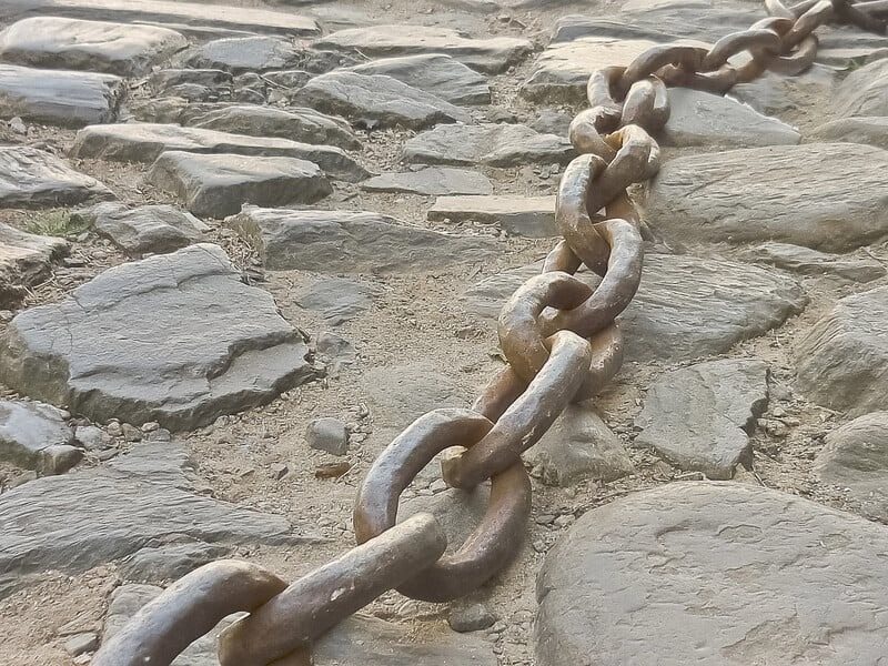 Десять днів на ланцюзі провела жінка на Закарпатті: деталі