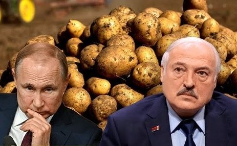 Путін попросив у Лукашенка картоплі: відповідь вас здивує ➤ Prozoro.net.ua