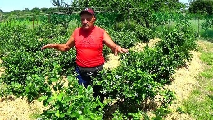 Невідома істота вселяє страх: в Україні забили на сполох ➤ Prozoro.net.ua