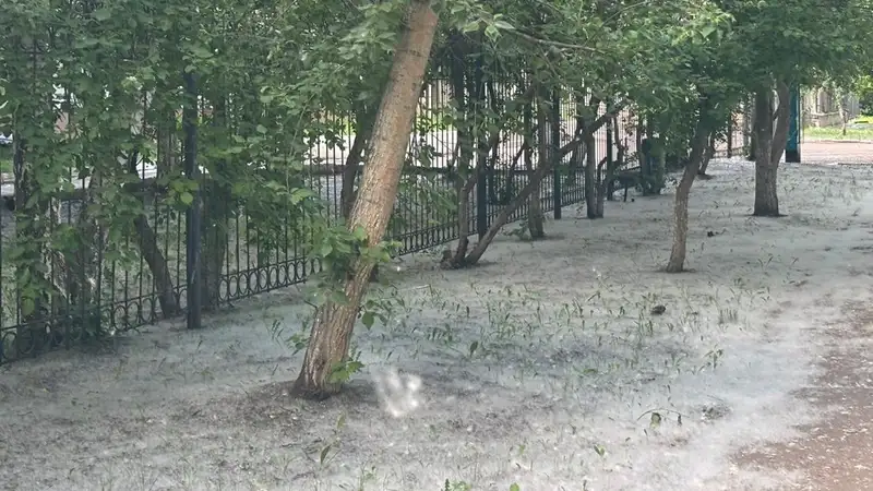 Одессу засыпало необычным "снегом" в конце мая 3 Одессу засыпало необычным "снегом" в конце мая