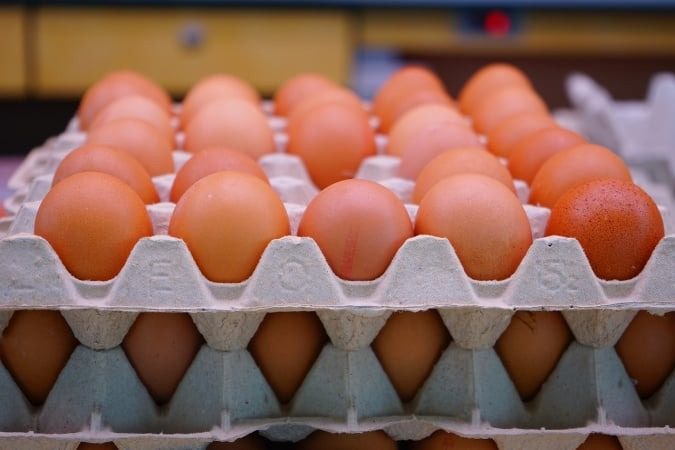 В Україні знизилися ціни на яйця: скільки тепер коштує десяток