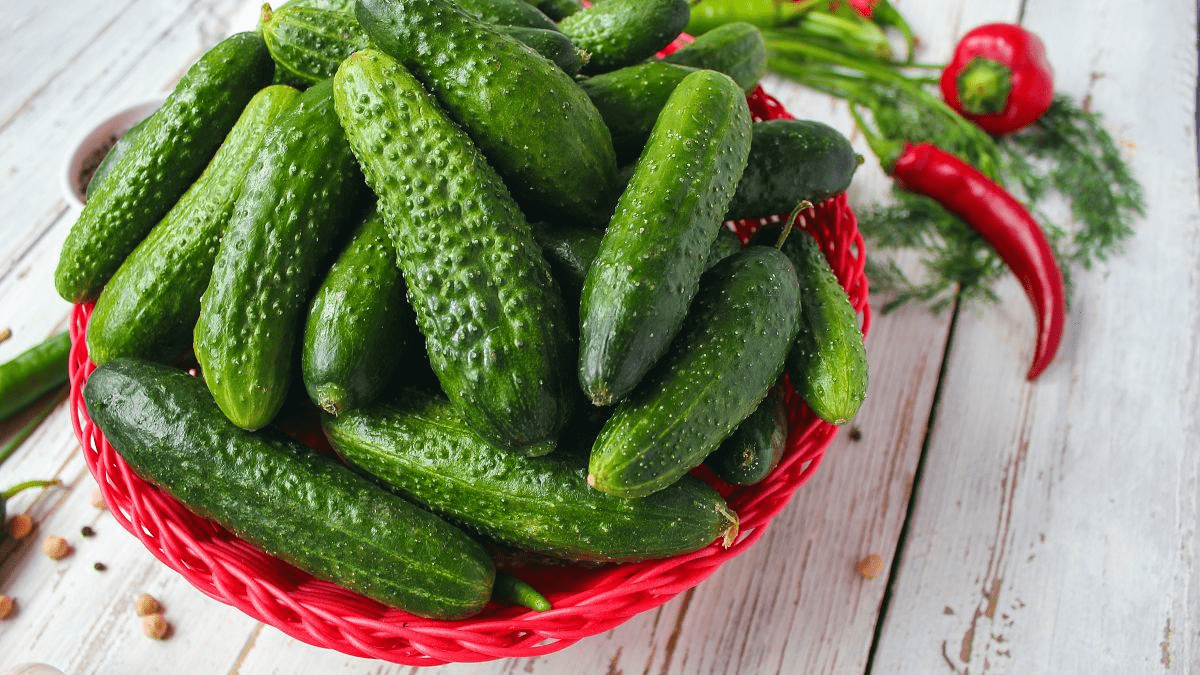 Почему огурцы — идеальный продукт для ежедневного рациона