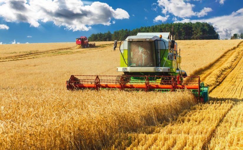 В Україні розпочали жнива: яким буде цьогорічний урожай ➤ Prozoro.net.ua