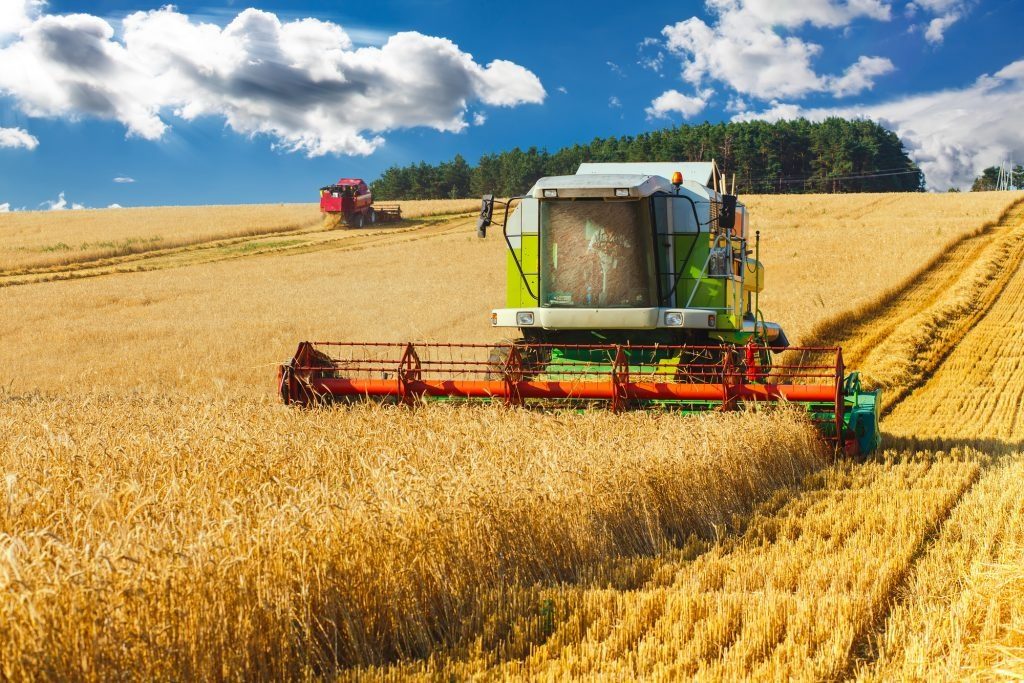 В Україні розпочали жнива: яким буде цьогорічний урожай ➤ Главное.net
