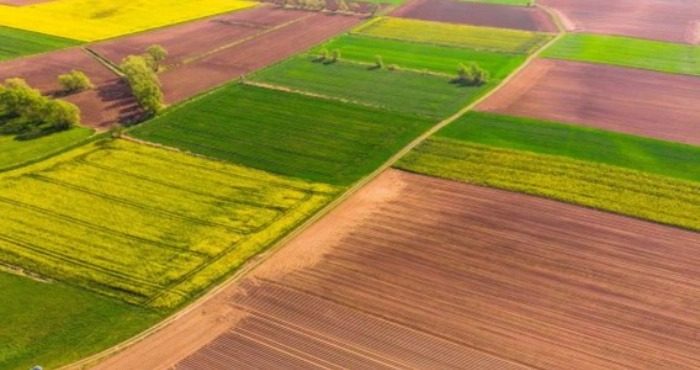 В Україні змінилася вартість землі: нова ціна на гектар