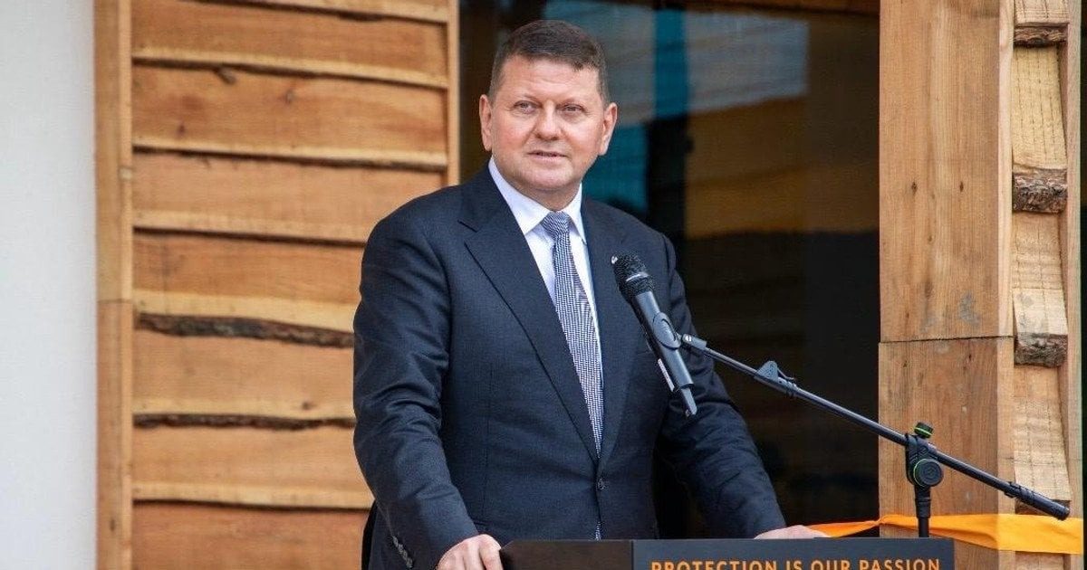 Залужний розкрив очі українцям: що відбувається насправді